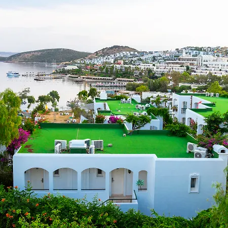 Royal Asarlik リゾート グムベット