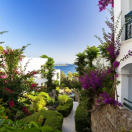 リゾート Royal Asarlik グムベット