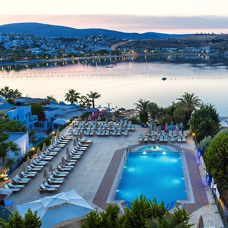 Royal Asarlik גומבט