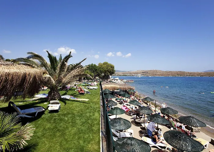 Resort Royal Asarlik Gümbet