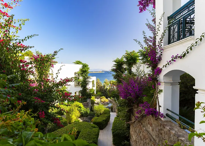 Resort Royal Asarlik Gümbet